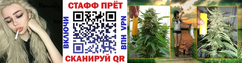 Цена Кировград СОЛЬ Меф мяу мяу Псилоцибиновые грибы КОКАИН ГАШ
