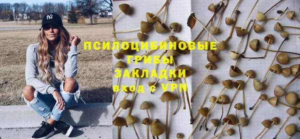 прущий лед Богородицк