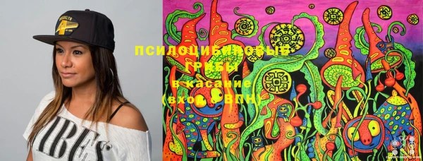 прущий лед Богородицк