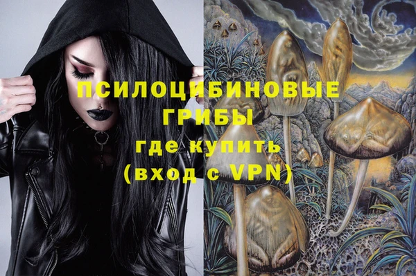 mdpv Бугульма
