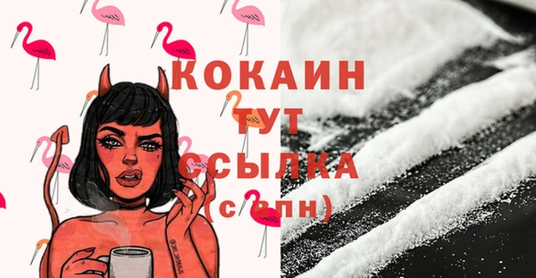 прущий лед Богородицк