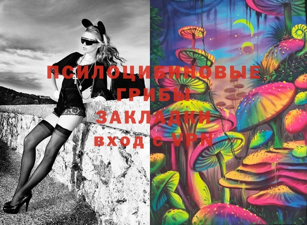 прущий лед Богородицк
