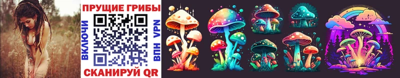 Псилоцибиновые грибы Cubensis  ОМГ ОМГ ссылка  Кировград 